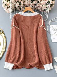 SHEIN LUNE Plus Size Autumn/Winter Casual Colorblock Raglan Loose Knit Sweater