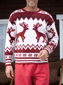 Manfinity Hypemode Men Winter Christmas Geo & Elk Pattern Casual Long Sleeve Graphic Color Block Sweater, For Party, Friends