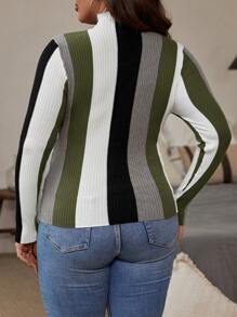 SHEIN Clasi Große Größen Farbblockstreifen-Muster Stehkragen Langarm Pullover - Armeegrün - Übersicht 2