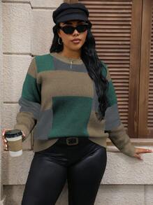 Calvaya 大码女式休闲撞色圆领长袖毛衣，秋冬款