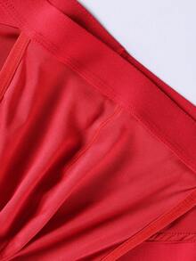 DrisQ DrisQ Men's Solid Color Lace Panel Sexy Briefs - Red - View 5