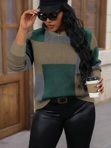 Calvaya 大码女式休闲撞色圆领长袖毛衣，秋冬款