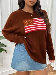 SHEIN EZwear 大码圆领长袖图案细节休闲套头毛衣 - 巧克力棕 - 查看 4