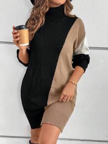 SHEIN LUNE Plus Size Women's Elegant High Neck Color Block Loose Black Pullover Sweater Dress Autumn Warm Casual Holiday Outfits