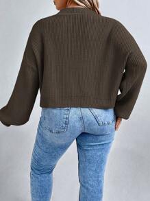 SHEIN LUNE Plus Size Women Plain Round Neck Drop Shoulder Long Sleeve Casual Sweater, Autumn/Winter Knit Pullover Fall - Coffee Brown - View 2