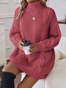 SHEIN LUNE Women Simple Solid Color Turtleneck Long Sleeve Casual Short Sweater Dress For New Year Clothes