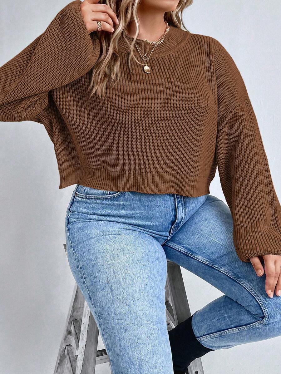 EMERY ROSE Plus Size Solid Color Dropped Shoulder Sweater, For Autumn And Winter Knit Pullover Fall - Rust Brown - View 1