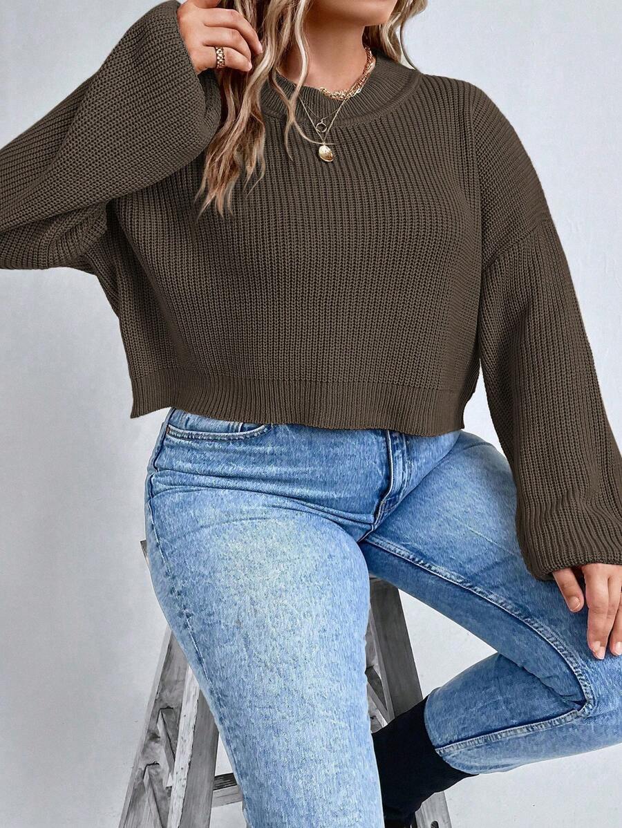 SHEIN LUNE Plus Size Women Plain Round Neck Drop Shoulder Long Sleeve Casual Sweater, Autumn/Winter Knit Pullover Fall - Coffee Brown - View 1