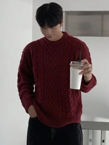 DAZY Men's Casual Cable Knit Crew Neck Sweater, Everyday Wear For Autumn