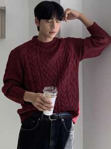 DAZY Men's Casual Cable Knit Crew Neck Sweater, Everyday Wear For Autumn
