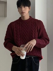 DAZY Men's Casual Cable Knit Crew Neck Sweater, Everyday Wear For Autumn