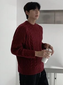 DAZY Men's Casual Cable Knit Crew Neck Sweater, Everyday Wear For Autumn