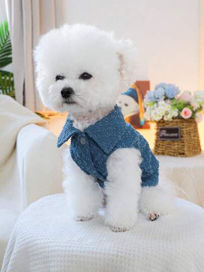 PETSIN 1 件装宠物狗蓝色休闲时尚外套背心带牵引绳，狗衣服