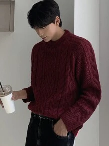 DAZY Men's Casual Cable Knit Crew Neck Sweater, Everyday Wear For Autumn