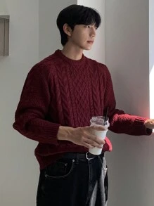 DAZY Men's Casual Cable Knit Crew Neck Sweater, Everyday Wear For Autumn