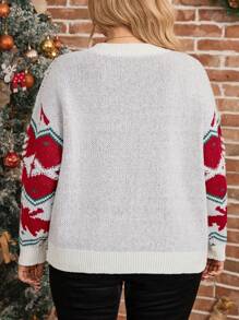 SHEIN LUNE Plus Size Winter Round Neck Long Sleeve Graphic Detailed Casual Knit Top Sweater