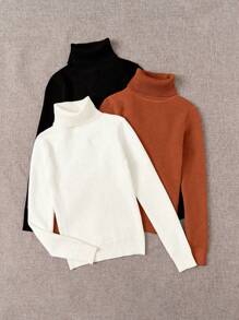 3件套秋冬加厚保暖内衬高领修身长袖毛衣套装 - 彩色 - 查看 4