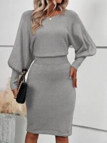 SHEIN LUNE 1pc Women Crew Neck Long Sleeve Minimalist Short Casual Sweater Dress