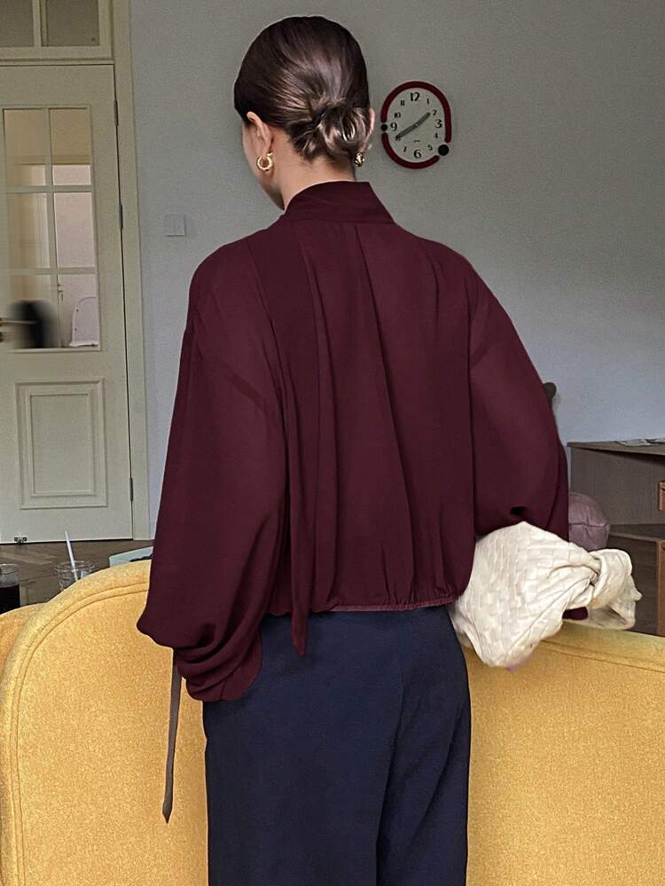 Women's Loose Fit Solid Color Long Sleeve Tie Blouse,Fall Clothes