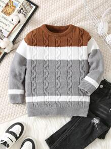 1 pieza Suéter de cuello redondo acanalado, casual, cómodo, de moda y versátil, para niños pequeños, adecuado para la escuela, al aire libre, deportes, otoño/invierno