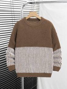 SHEIN Tween Boys' Textured Color Block Knitted Sweater, Suitable For Autumn/Winter Wear, Great For Casual Or School