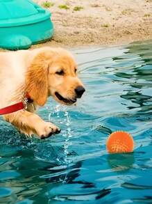 1 pieza Pelota de goma con sonido para masticar de color aleatorio, juguete interactivo de limpieza dental para perros, juego de entrenamiento y diversión para mascotas, regalo para cachorros para usar dentro y fuera de casa - Azul - Ver 5
