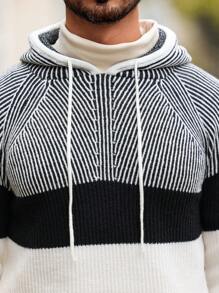Manfinity Homme Men's Casual Striped Raglan Sleeve Long Sleeve Drawstring Hooded Cable Knit Sweater, Autumn/Winter, For Going Out, Husband - Multicolor - View 2