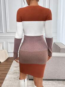 SHEIN Clasi Damska zimowa sukienka dzianinowa Slim Fit S-Curve Color Block w stylu seksownej dzianiny