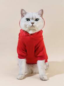 PETSIN 1pc Bear Graphic Print Kangaroo Pouch Sweatshirt