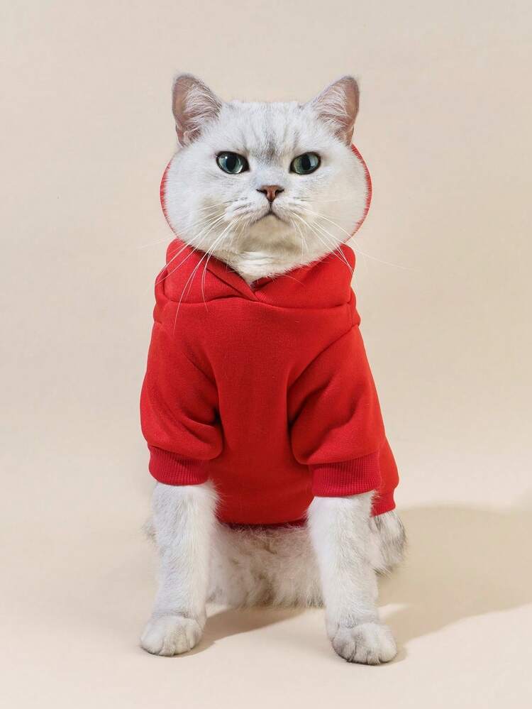 PETSIN 1pc Bear Graphic Print Kangaroo Pouch Sweatshirt - Multicolor - View 5