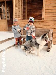 SHEIN 冬季男童格子长袖单排扣口袋休闲夹克 - 彩色 - 查看 11