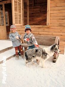 SHEIN 冬季男童格子长袖单排扣口袋休闲夹克 - 彩色 - 查看 12