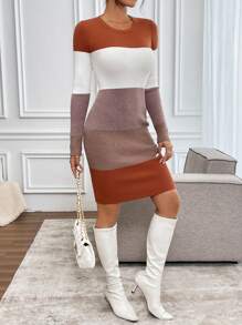 SHEIN Clasi Damska zimowa sukienka dzianinowa Slim Fit S-Curve Color Block w stylu seksownej dzianiny
