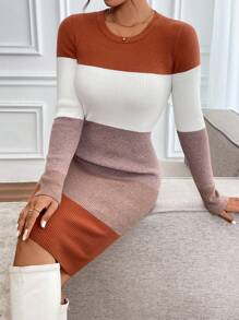 SHEIN Clasi Damska zimowa sukienka dzianinowa Slim Fit S-Curve Color Block w stylu seksownej dzianiny