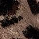 Coffee Brown