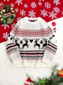 Manfinity VCAY Men Unisex Intarsia Christmas Deer Pattern Funny Loose Fit Crew Neck Pullover Graphic Colorful Long Sleeve Sweater, For Going Out, Couple Matching