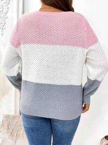 SHEIN LUNE Plus Size V-Neck Button Casual Contrast Color Long Sleeve Knitted Sweater Top, Fall Winter - Multicolor - View 2