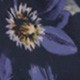 藍色
