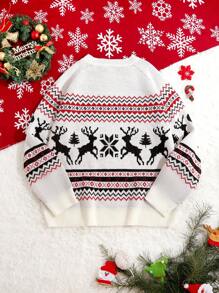 Manfinity VCAY Men Unisex Intarsia Christmas Deer Pattern Funny Loose Fit Crew Neck Pullover Graphic Colorful Long Sleeve Sweater, For Going Out, Couple Matching
