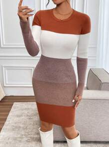 SHEIN Clasi Damska zimowa sukienka dzianinowa Slim Fit S-Curve Color Block w stylu seksownej dzianiny