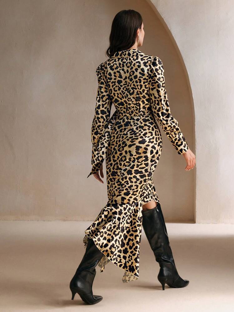 Asymmetrical Hem Long Sleeve Leopard Print Dress, For Spring And Autumn