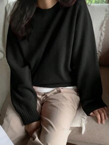 DAZY Women Solid Color Crew Neck Long Sleeve Regular Pullover Sweater, Autumn/Winter,Fall Women Clothes - Black - View 5