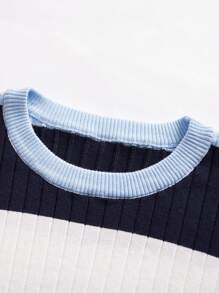 Manfinity Homme Men's Casual Everyday Colorblock Stripe Round Neck Ribbed Knit Graphic Pullover Long Sleeve Sweater, Autumn/Winter, For Going Out