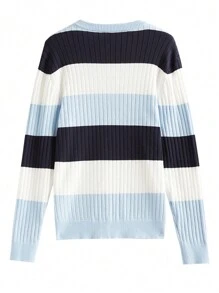 Manfinity Homme Men's Casual Everyday Colorblock Stripe Round Neck Ribbed Knit Graphic Pullover Long Sleeve Sweater, Autumn/Winter, For Going Out