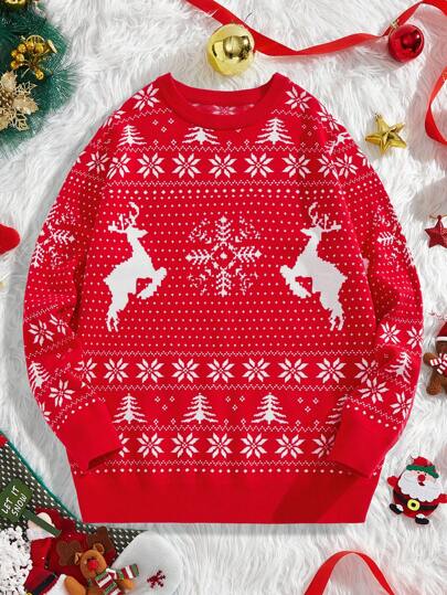 Manfinity VCAY Men's Fitted Casual Crew Neck Long Sleeve Knit Sweater, Suitable For Autumn/Winter And Christmas