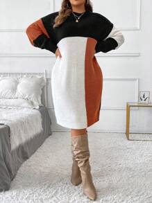 SHEIN Clasi 大码女式优雅拼色拼接圆领长袖落肩秋冬保暖毛衣连衣裙商务休闲女士、工作服、秋季婚礼宾客礼服， - 紅木色 - 查看 6