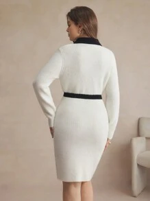 BizChic Plus Size Autumn/Winter Casual Color Block Striped Dual Pocket Fitted Sweater Dress Black And White Winter Women Clothes Holiday Dress Elegant Women Dresses - Black and White - View 2