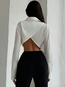 Aloruh Minimalist Commuting Office Turndown Collar Front Open Long Sleeve Contrast Stripe Back Panel Women Blouse