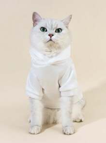 PETSIN 1 pièce Sweat-shirt avec imprimé d'ours, fournitures quotidiennes décontractées pour animaux de compagnie