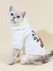 PETSIN 1 pièce Sweat-shirt avec imprimé d'ours, fournitures quotidiennes décontractées pour animaux de compagnie